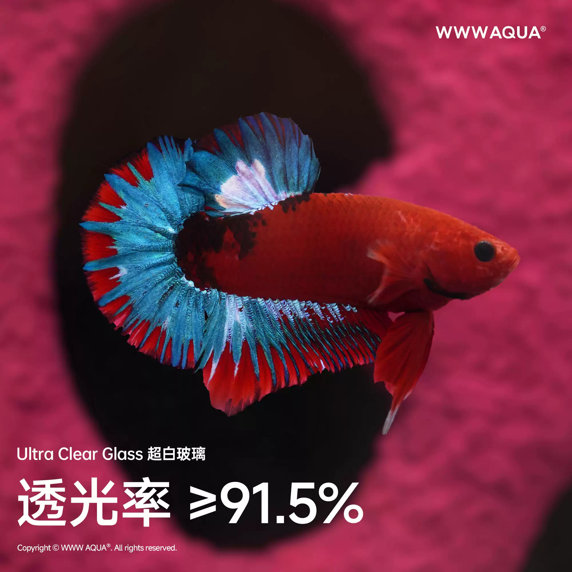 Universe Grocery Store Quirky  – Home Improvement Stores Bewertung und Preis
